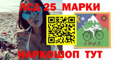 гидра Краснознаменск
