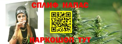 гидра Краснознаменск