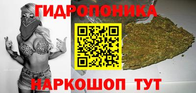 гидра Краснознаменск