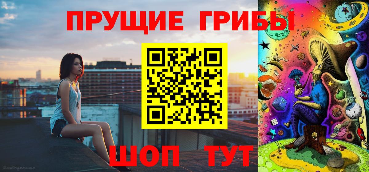купить наркотики цена  Вход с VPN  Псилоцибиновые грибы Magic Shrooms  Егорьевск  Галлюциногенные грибы Magic Shrooms 