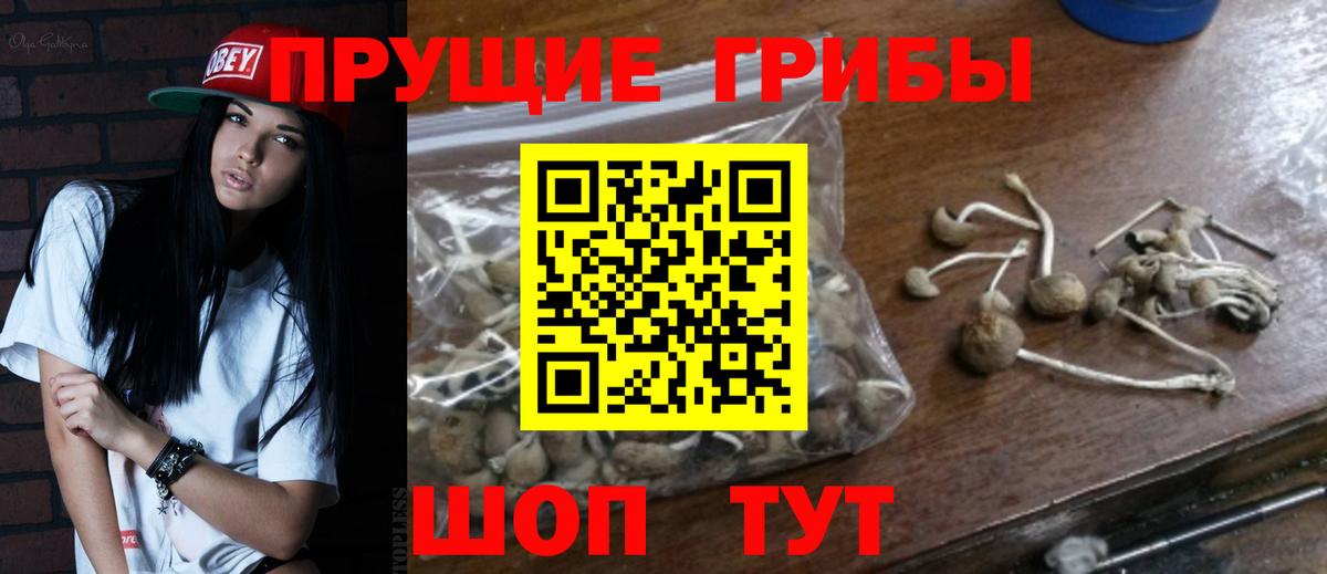 Галлюциногенные грибы мухоморы Егорьевск